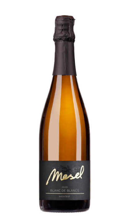 2020er Blanc de Blancs extra brut Traditionelle Flaschengärung