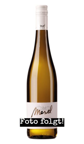 2024 Riesling trocken Ungsteiner Nußriegel Max Mesel Debutwein